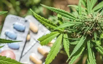 CMT betegség: Kannabisz fájdalomcsillapító hatása és vényköteles gyógyszerek használatának csökkentése.
